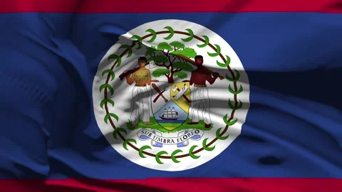Closeup Belize Flag Wave Loop waving in wind Realistic Belize Flag backgroun Stock Footage 320035481