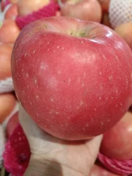 Closeup of big red apple Stock Photos