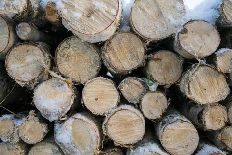 Closeup of birch tree logs outside in winter Stock Photos