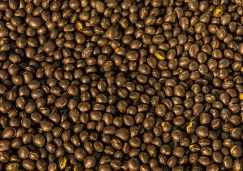 Closeup of black beans Stock Photos