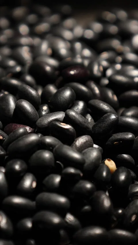 Closeup of a black beans seed on black background Stock Footage 302535361