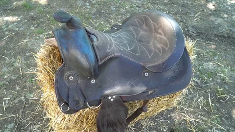 Closeup of a black leather saddle on the hay Stock Footage 75996932