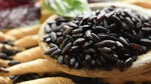 Closeup of black Parboiled rice 스톡 동영상 117742995