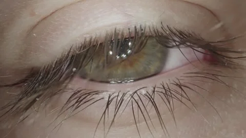 Closeup of blinking eye with the long lashes Stock Footage 344915586
