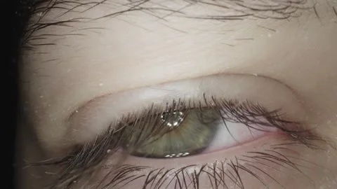 Closeup of blinking eye with the long lashes Stock Footage 344915591