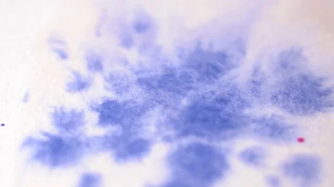 Closeup of blue and pink drops of watercolor on the paper slow motion Stock Footage 76196319