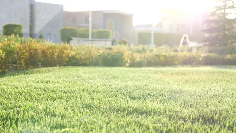 Closeup blurred grass with sun lights bokeh 動画素材 140675404