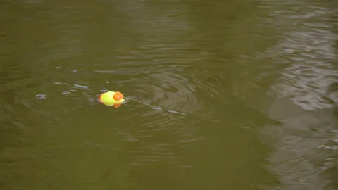 Closeup of bobber floating in the water Video stock 136852449