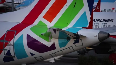 Closeup of Boeing 737 MAX 8 horizontal stabilizer blamed for aircrashes. Stock-Footage 139019211