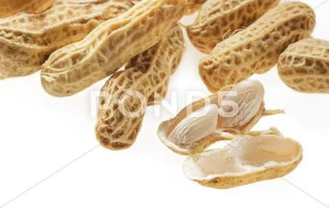 Closeup boiled peanuts on white background Stock Photos