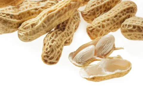 Closeup boiled peanuts on white background Stock Photos