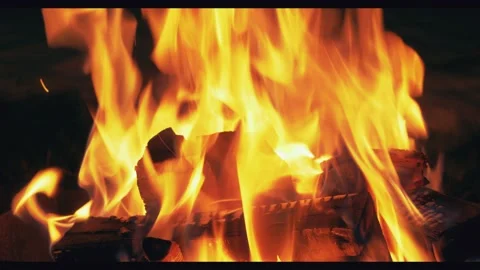 Closeup bonfire burning trees at night camping. Brightly fire orange flame in 4k Stock Footage 146443630