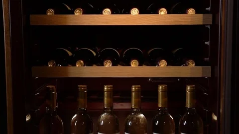 Closeup Bottles in Fridge with Compressor Excluding Wine Shaking Stock Footage 83281702