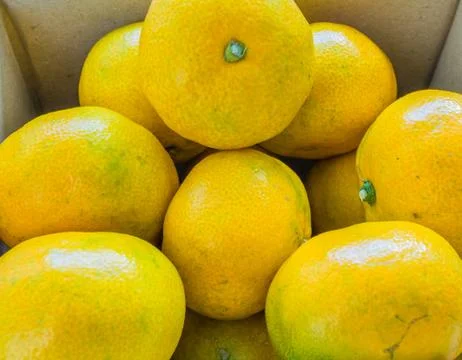 Closeup of box of tangerines Stock Photos