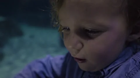 Closeup Of Boy, Covers Face With Smartphone, Takes Selfie In Front Of Aquarium Stock Footage 68900802