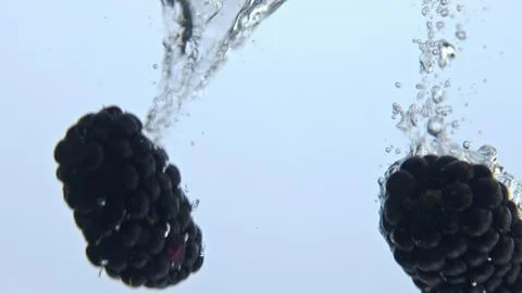 Closeup bramble bubbling liquid with drops. Ripe berries falling into water Foto stock