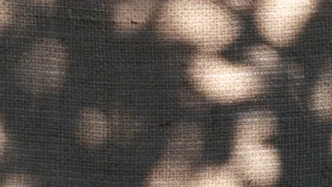 Closeup branch tree leaves silhouette shadow motion on jute texture background Vídeo Stock 236890561