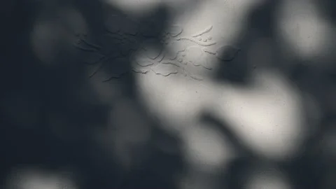 Closeup branch tree leaves silhouette shadow motion on wall with floral ornament Stockbeeldmateriaal 237735844