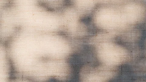 Closeup branch tree leaves silhouette shadow motion on jute texture background Video stock 240606241