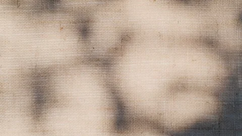 Closeup branch tree leaves silhouette shadow motion on jute texture background Video stock 242389158