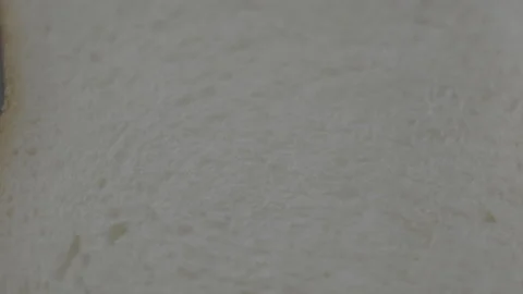 Closeup of a bread on backdrop Stock Footage 305426087