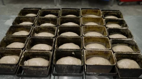 Closeup of bread dough rising and proofing in metal baking pans at a commercial 库存影片 346728980