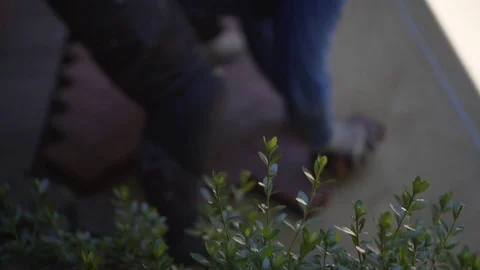 Closeup of brick pavers in herringbone pattern being built. Stock Footage 81563162