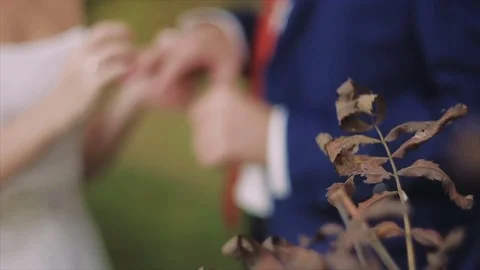 Closeup of bride and groom exchanging wedding rings over green nature background Stock Footage 80145462