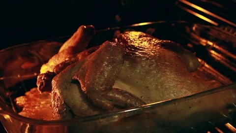 Closeup of brown chicken in the oven Stock Footage 72039532