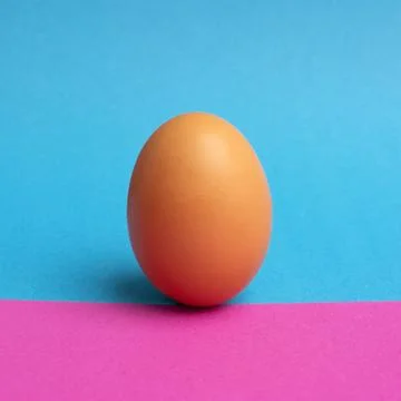 Closeup of a brown egg under the lights against a blue and pink background Stock Photos