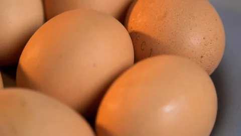 Closeup of brown eggs in a plate Stock-Footage 120876952