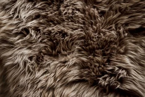 Closeup of Brown Fur Texture. Smooth Fluffy and Softness Background Stock Photos