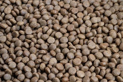 Closeup brown pet kibble texture revealing cleanlabel matte pellets, uniform  Stock Photos
