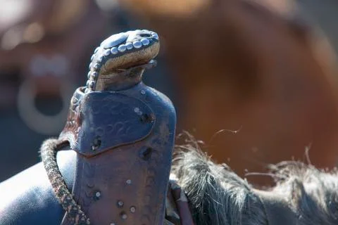 Closeup of brown rustic saddle on horse near Merida Stock Photos