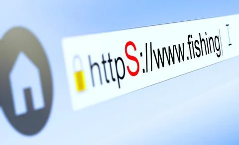 Closeup of browser bar with https typed in, padlock and fishing domain name Stock-Illustration
