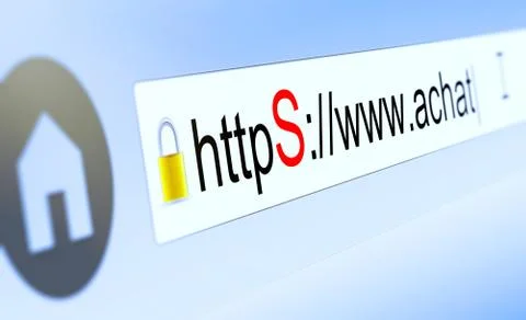 Closeup of browser bar with https typed in, padlock and shop domain name Stock-Illustration