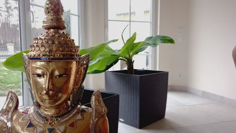 Closeup || Buddha Head || UHD Video stock 101895513