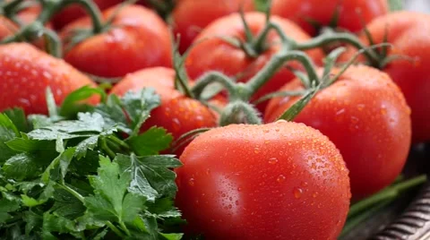 Closeup of a Bunch of Fresh Tomatoes Stock Footage 55493951