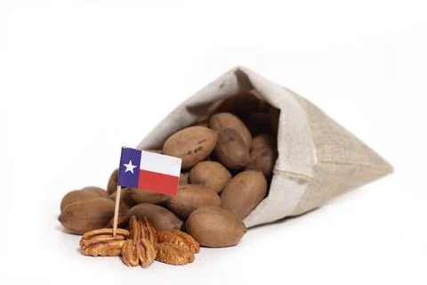 Closeup of a burlap bag of pecans with Texas flag isolated on white background. Stock Photos