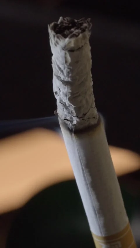Closeup of Burned Cigarette Tip Showing Ash and Charred Tobacco Texture Stock Footage 346005836
