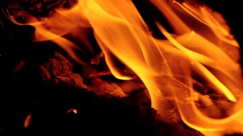 Closeup of burning bright fire line isolated on black background. Stock Footage 135355110