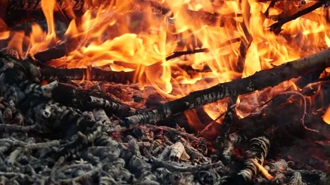 Closeup burning campfire, fire flames on wood logs and tree branches in forest Vídeo Stock 335870051