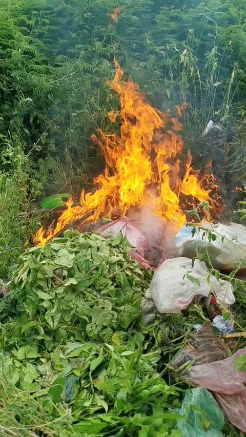 Closeup of burning garbage on the ground at the garden. Vertical footage. Stock Footage 292512760