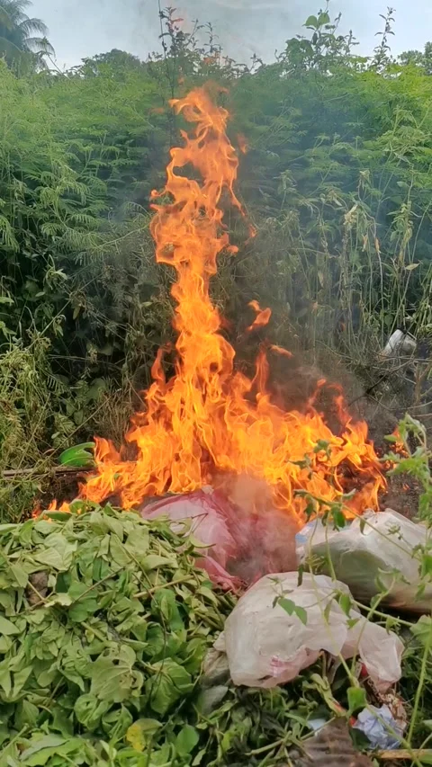 Closeup of burning garbage on the ground at the garden. Vertical footage. Stock Footage 292513486