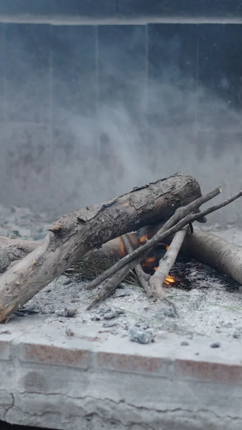 Closeup of burning logs in Spain Stock Footage 264920741