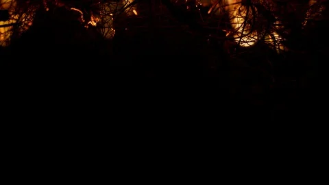 Closeup of burning straw and flames moving from top to bottom Stock Footage 104878795