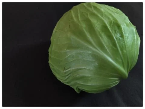 Closeup of cabbage head, black background Stock Photos