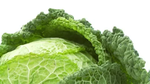 Closeup of cabbage isolated on white background Stock Footage 8974739