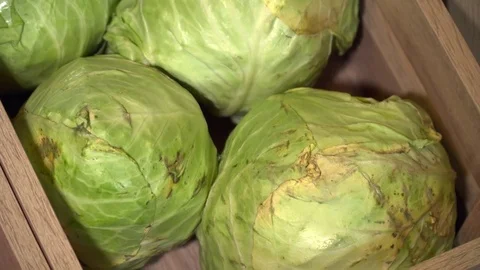 Closeup of cabbage in the wooden box Stock Footage 77038771