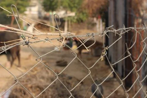 A closeup of a cage Stock Photos